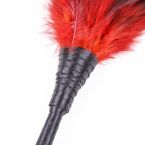 Feather Tickler