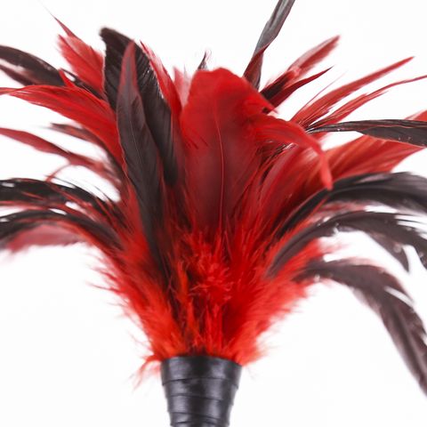 Feather Tickler