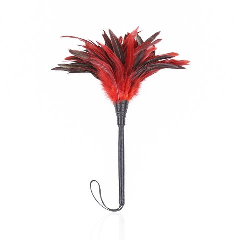 Feather Tickler