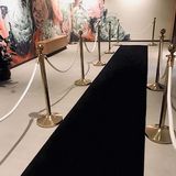 Exhibit-Carpet